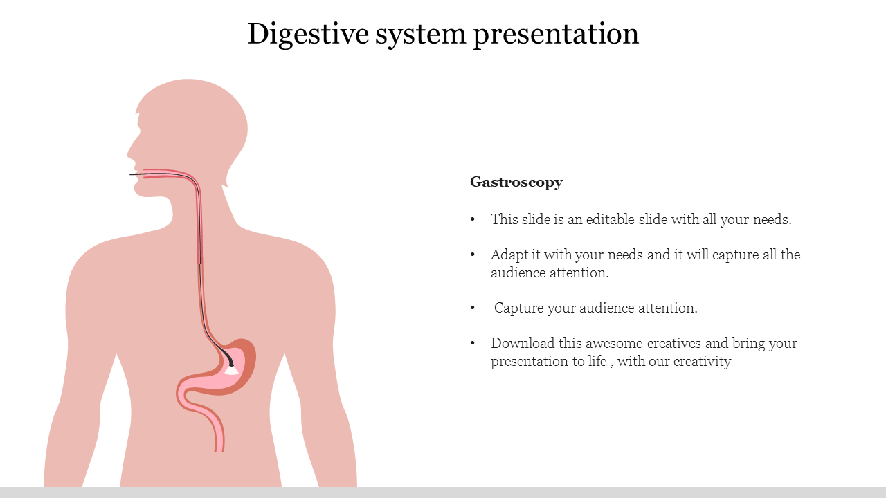 Digestive system presentation 